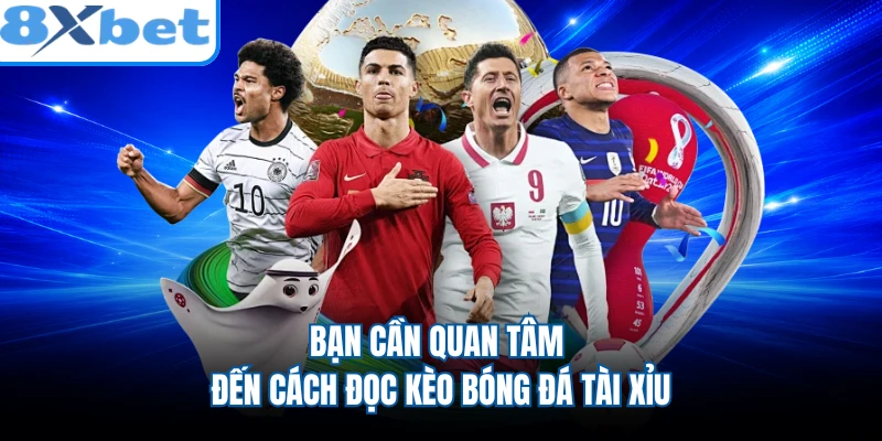 Bạn cần quan tâm đến cách đọc kèo bóng đá tài xỉu