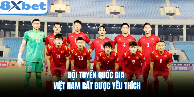Đội tuyển quốc gia Việt Nam rất được yêu thích