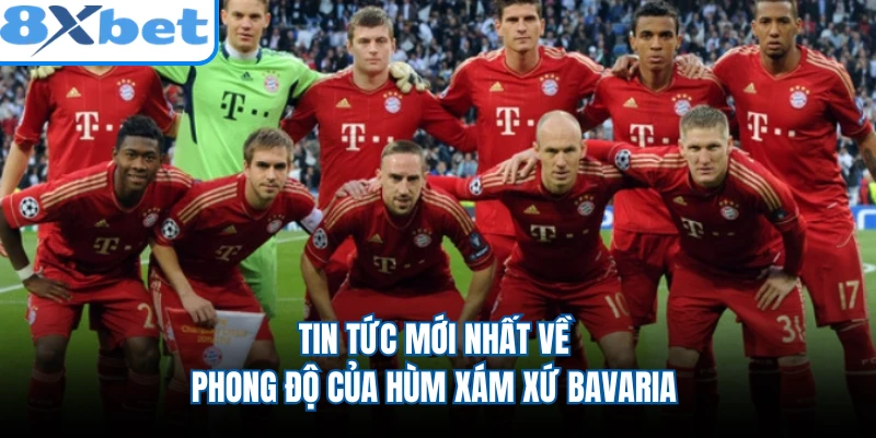 Tin tức mới nhất về phong độ của Hùm Xám xứ Bavaria